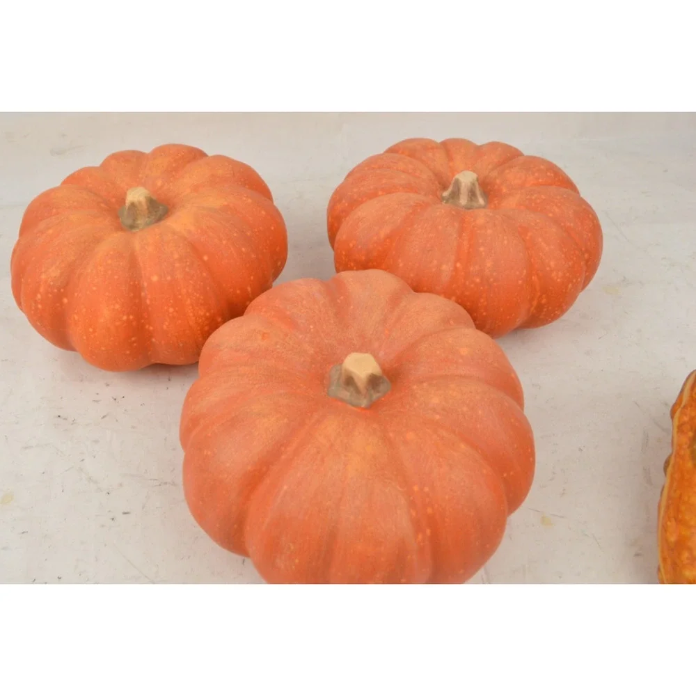 Pier 1 Fall Halloween Decor Lot Pumpkins Gourds Corn Witch Doll Autumn Harvest